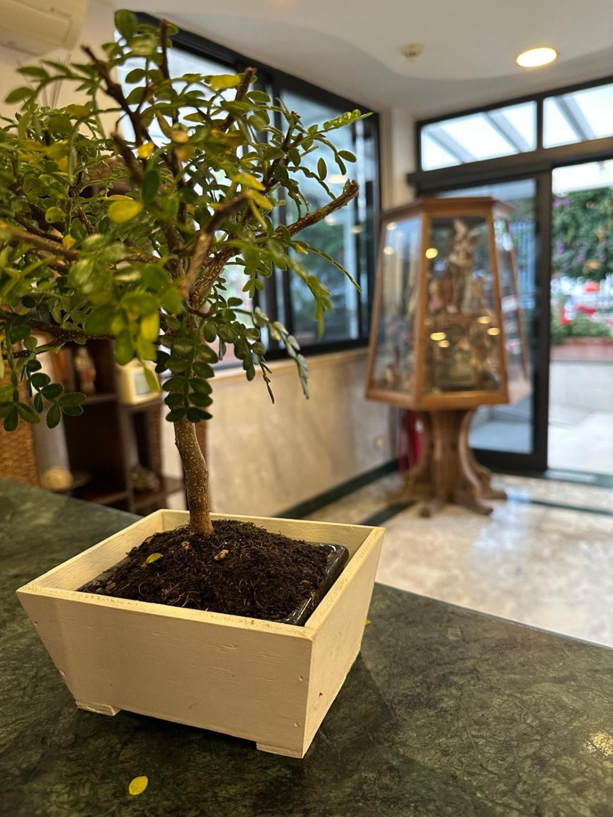 Hotel Clinton Casoria Eksteriør billede